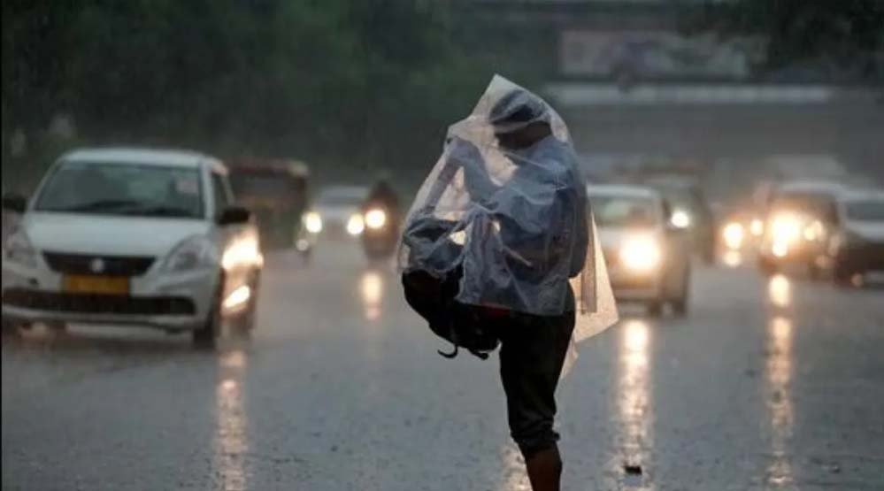 rain_81_4.jpg