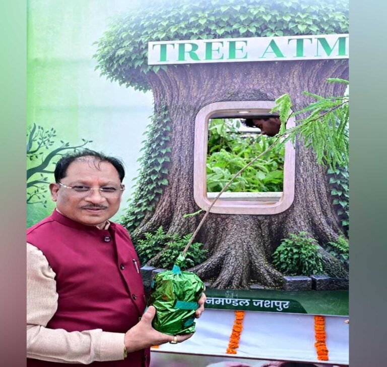 tREE_01-3.jpg