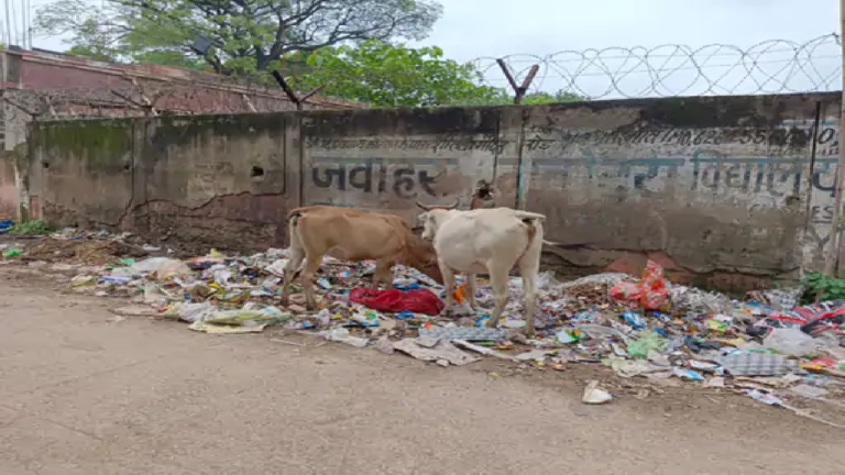 राजनांदगांव : तहसील कार्यालय रोड पर डंप कचरा फैल रहा, आवाजाही में बढ़ी परेशानी…