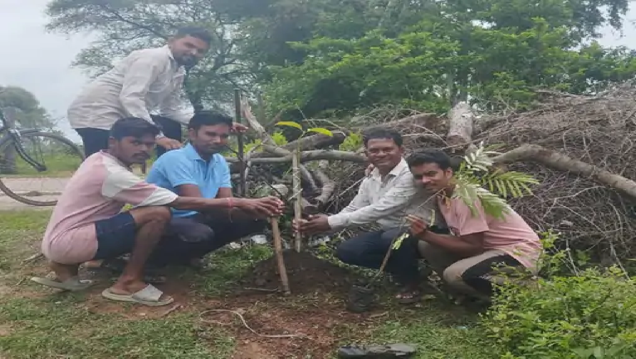 राजनांदगांव : भंवरमरा में मनाई हरेली पौधरोपण भी किया गया…