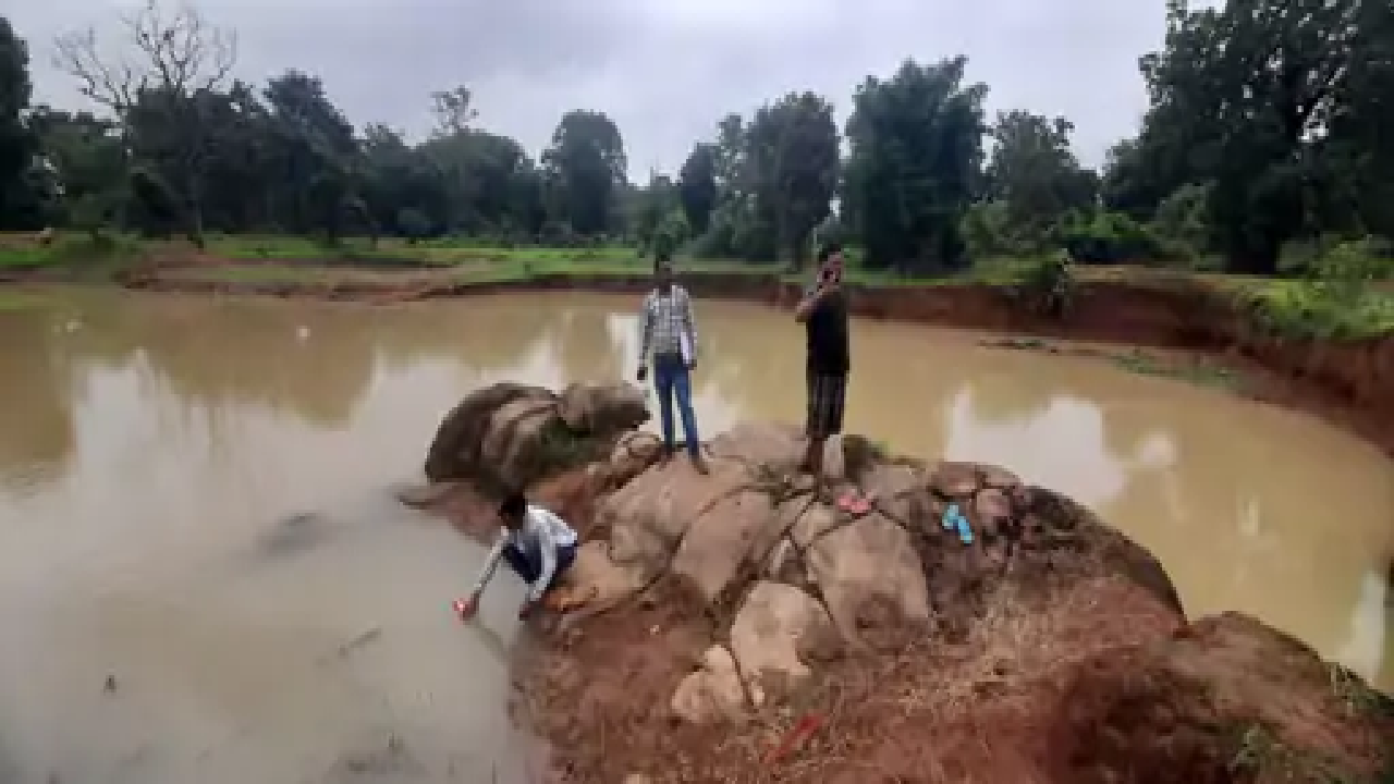 राजनांदगांव : खेत के पास डबरी में नहाने गए सगे भाई - बहन डूबे , मौत…