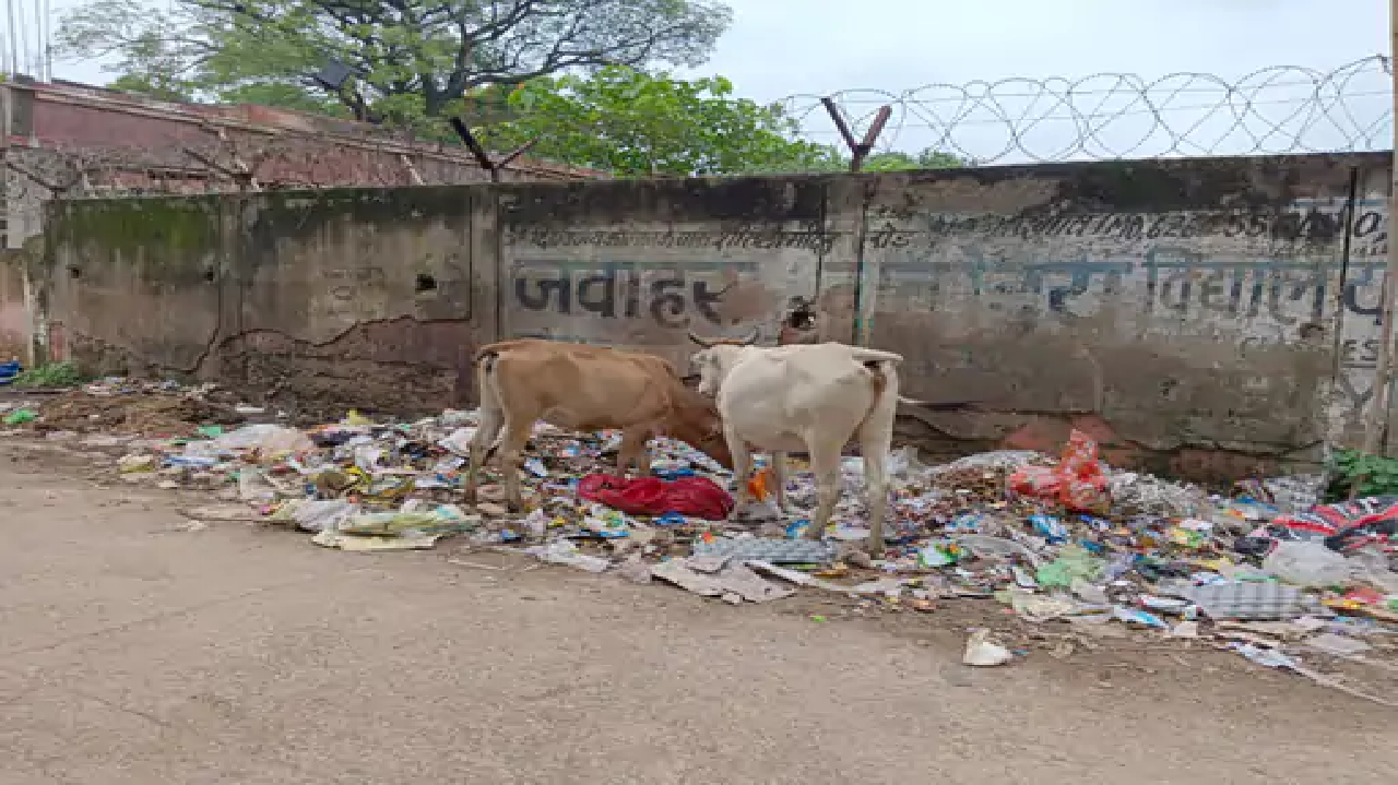 राजनांदगांव : सड़क किनारे डंप कचरे को मवेशी फैला रहे हैं…