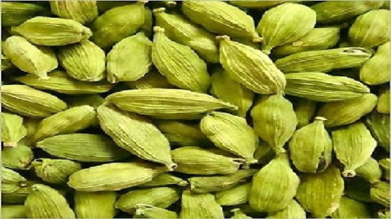 पेट की जलन और गैस से राहत दिलाने में बेहद कारगर है इलायची