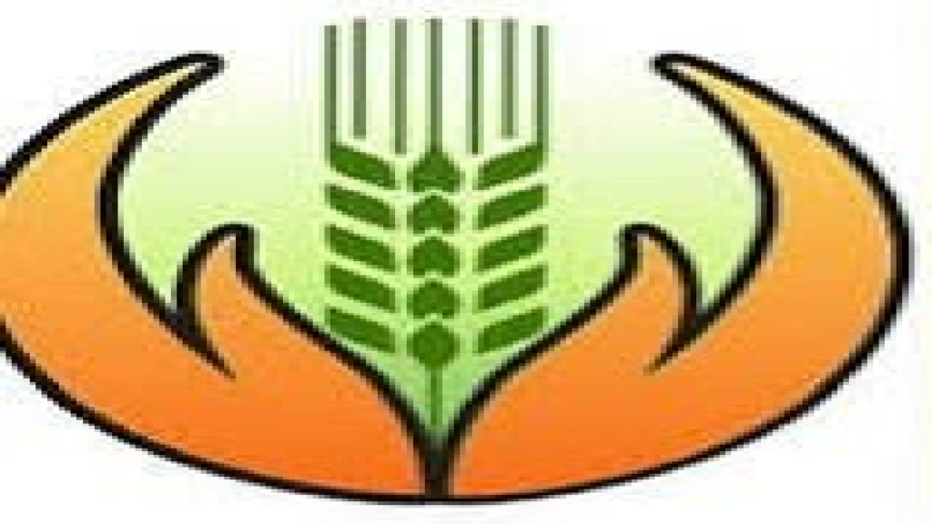CG : प्रधानमंत्री फसल बीमा योजना से किसानों का बढ़ा भरोसा, धमतरी में इस वर्ष लगभग 81000 किसानों ने कराया फसल बीमा