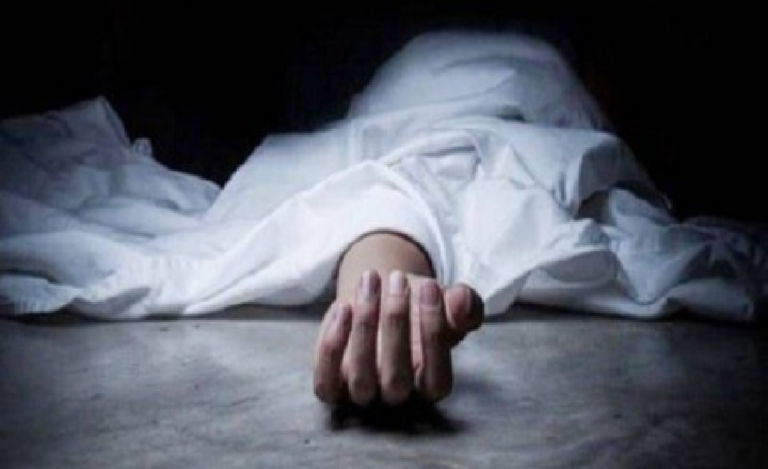 राजनांदगांव : ताना देती थी भाभी, इससे नाराज देवर ने कर दी हत्या…