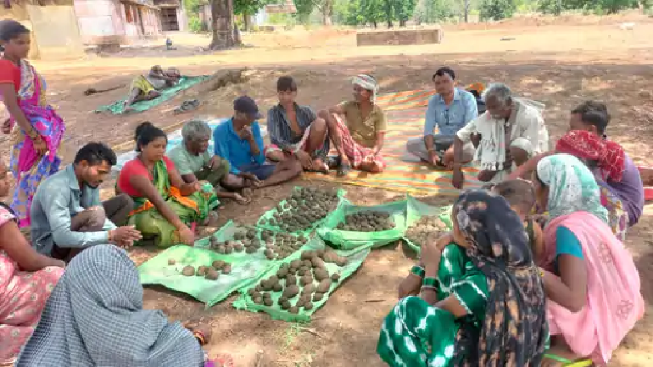 मोहला : चार एकड़ बंजर वन भूमि पर किया सीड बॉल का छिड़काव…