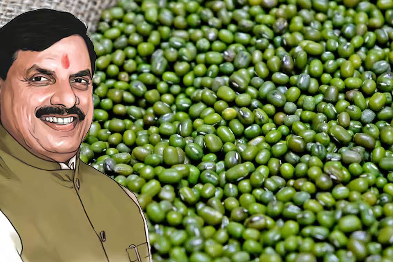 3A_137.jpg