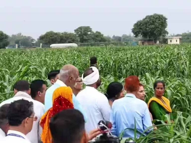 Chhattisgarh_News_14-1-1.jpg