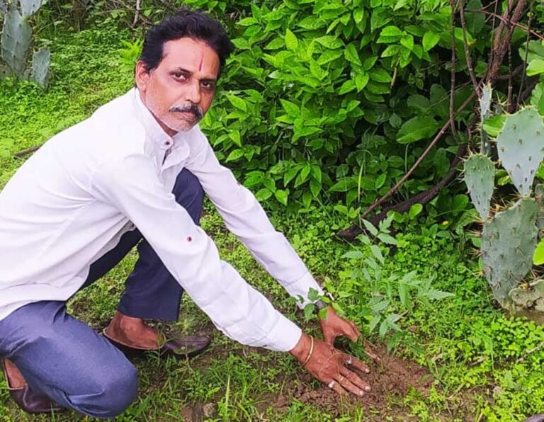 Neem.jpg