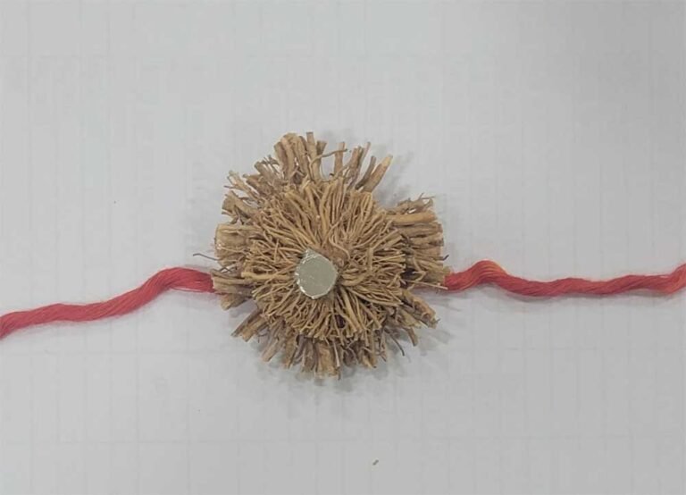 Rakhi_02.jpg
