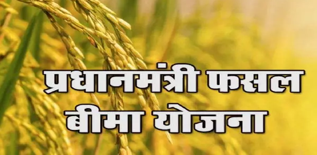 CG : किसानों की खबर, फसल बीमा कराने की अंतिम तिथि 14 अगस्त तक बढ़ी …