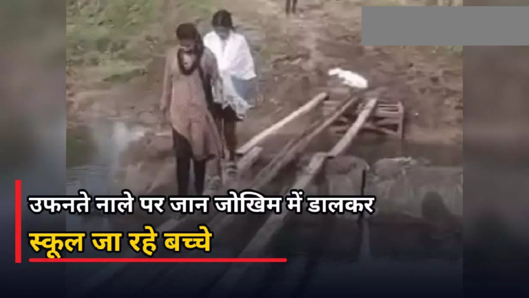 CG : उफनते नाले पर जान जोखिम में डालकर स्कूल जा रहे बच्चे …