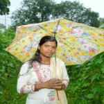 CG : बाड़ी से निकली समृद्धि की राह, सपनों को मिली नई उड़ान