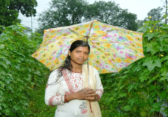 CG : बाड़ी से निकली समृद्धि की राह, सपनों को मिली नई उड़ान