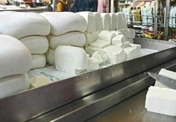 pANEER_01-1.jpg