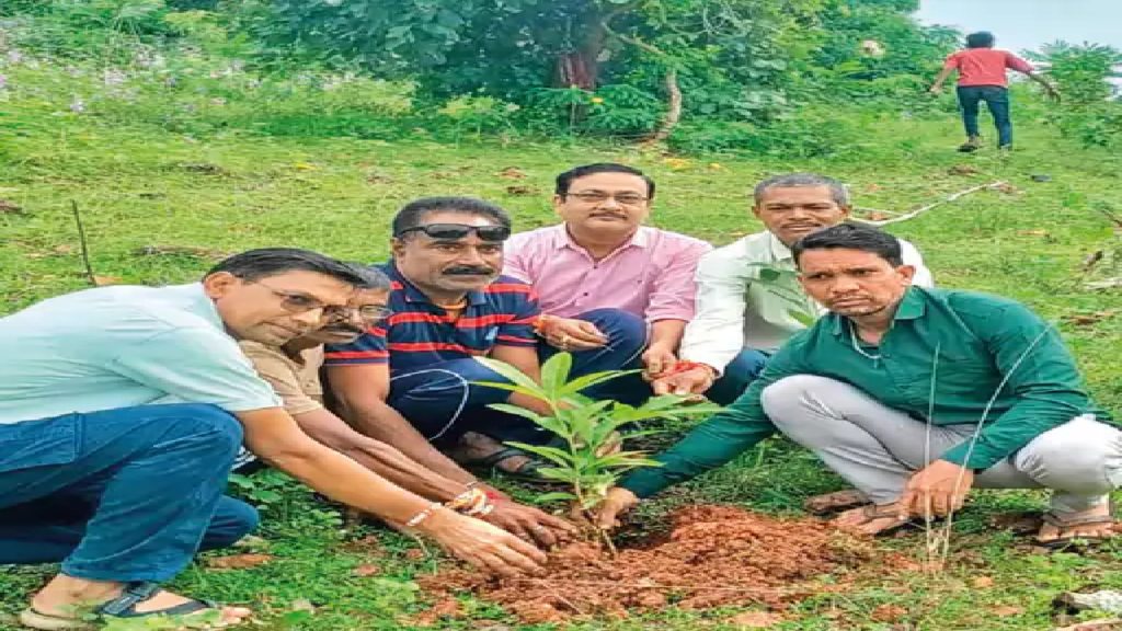 राजनांदगांव : दंतेश्वरी मंदिर पहाड़ी पर 200 प्रजाति के रोपे पौधे…
