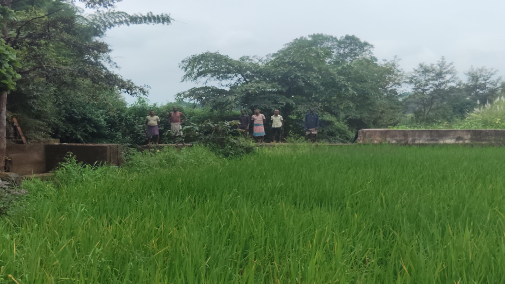 CG : सेवा की कहानी : स्टॉपडेम से खुशहाल हुए आदिवासी परिवार