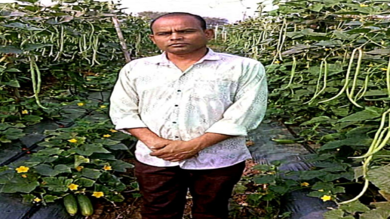 CG : फसल परिवर्तन से बढ़ा उत्पादन और मुनाफा