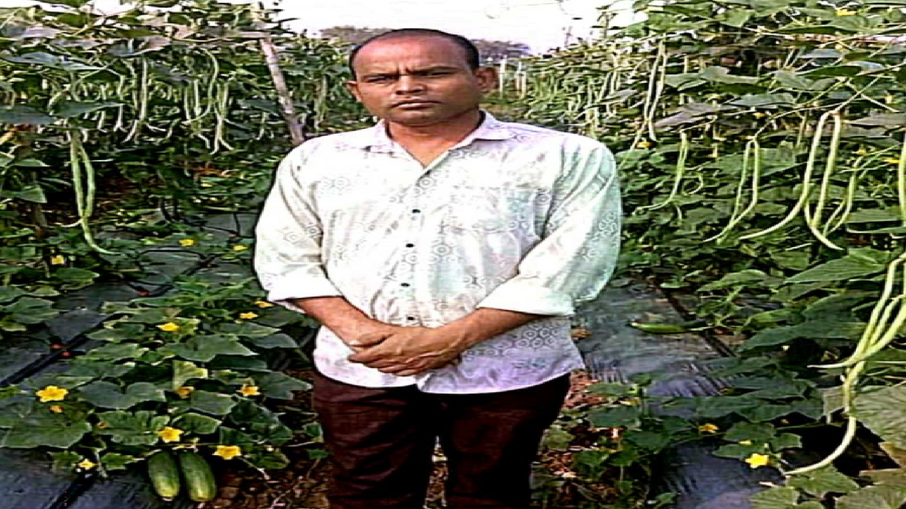 CG : फसल परिवर्तन से बढ़ा उत्पादन और मुनाफा