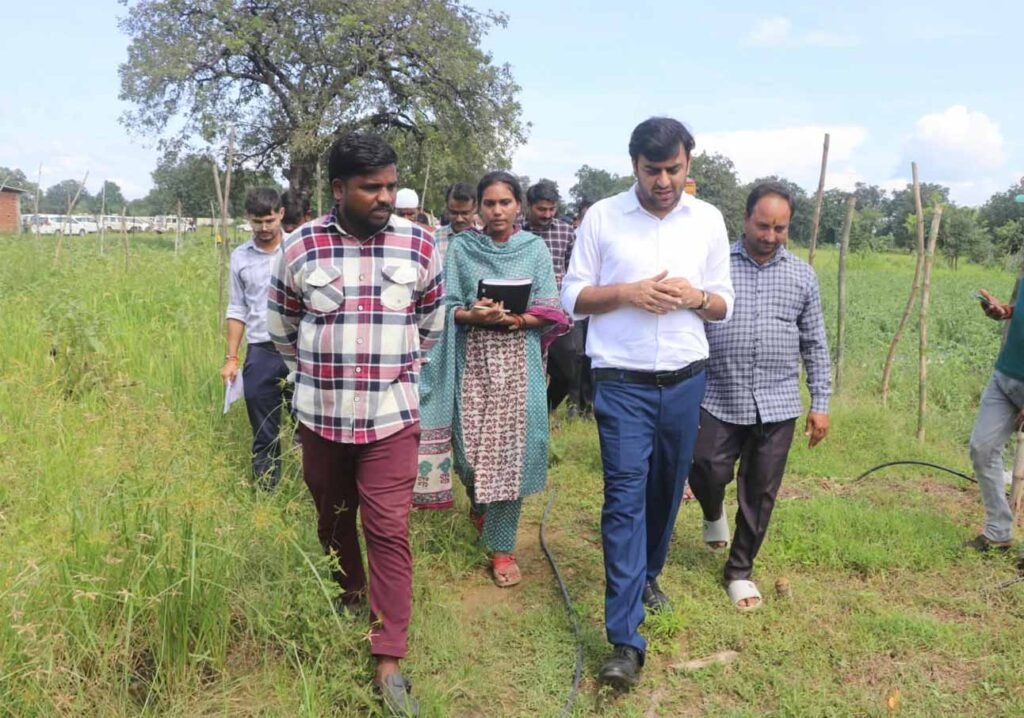 11A_169.jpg