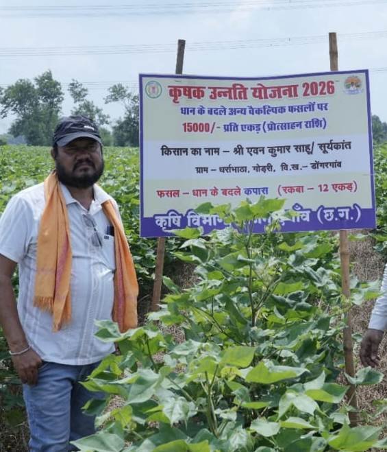  राजनांदगांव : फसल विविधीकरण की ओर बढ़े किसान एवन साहू ने 56.5 एकड़ में अपनाई वैकल्पिक फसलों की खेती