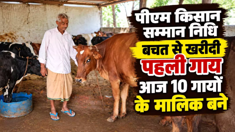CG : पीएम किसान सम्मान निधि की बचत से खरीदी पहली गाय, आज 10 गायों के साथ आत्मनिर्भर बने 75 साल के बुजुर्ग …