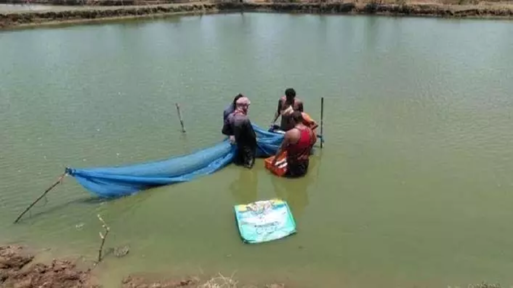 CG : तालाब बना आत्मनिर्भरता का आधार …