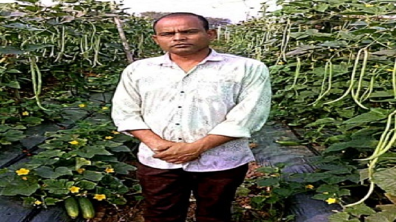 CG : खेती का तरीका बदला तो बढ़ा उत्पादन और मुनाफा …
