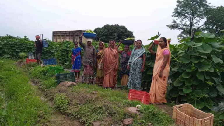 CG : महिला किसानों ने 600 क्विंटल सब्जी उगाकर लिखी सफलता की नई कहानी…