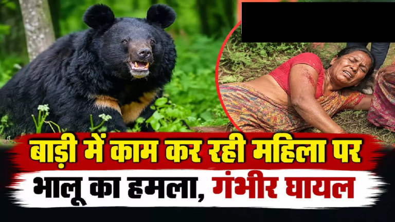 CG : बाड़ी में काम कर रही महिला पर भालू का हमला, गंभीर घायल …