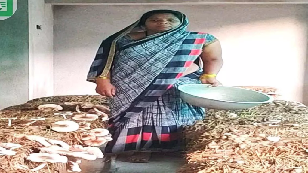 CG : गरीबी से जुझ रही 14 महिलाओं ने समूह बनाकर आजीविका की नई राह गढ़ी …