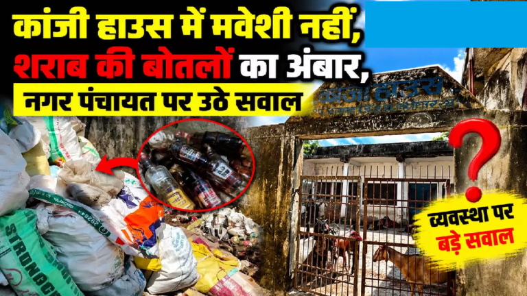 CG : कांजी हाउस में मवेशी नहीं, शराब की बोतलों का अंबार, नगर पंचायत पर उठे सवाल …