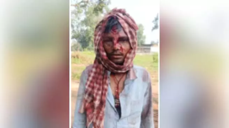 CG : जंगल में मौत से सामना! अचानक सामने आए 4 भालू, फिर …