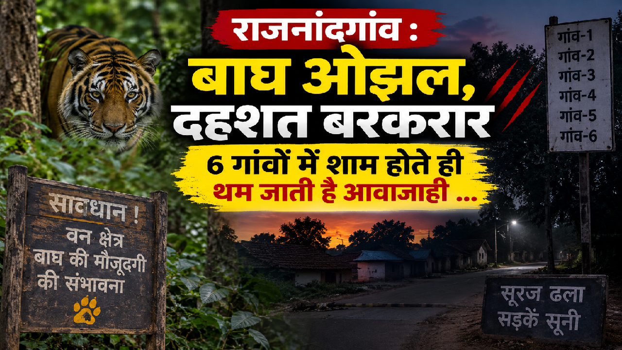 राजनांदगांव : बाघ ओझल, दहशत बरकरार, 6 गांवों में शाम होते ही थम जाती है आवाजाही …