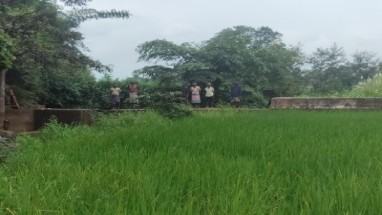 CG : किसानों के लगभग 30 एकड़ खेतों में मिली सिंचाई की सुविधा