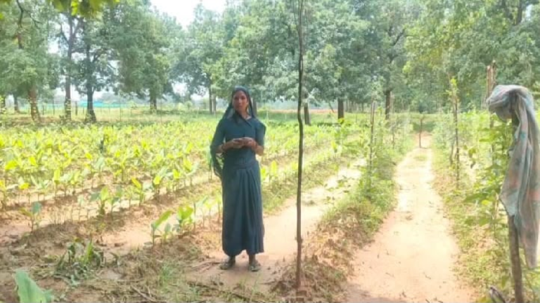 सेवा संकल्प अब अभियान : खेती को नया आयाम, 25 किसानों की बदली खेती की तस्वीर ...
