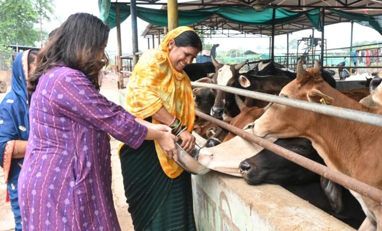 Durg : आयुक्त ने सी एंड डी प्लांट, गौठान सहित विभिन्न स्थलों की व्यवस्थाओं का लिया जायजा