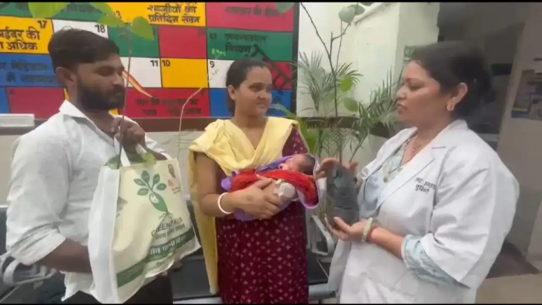 CG : प्रोजेक्ट ग्रीन पालना : माताओं को बच्चे के जन्म पर 5 पौधों की भेंट, मातृत्व के साथ हरियाली का संकल्प…