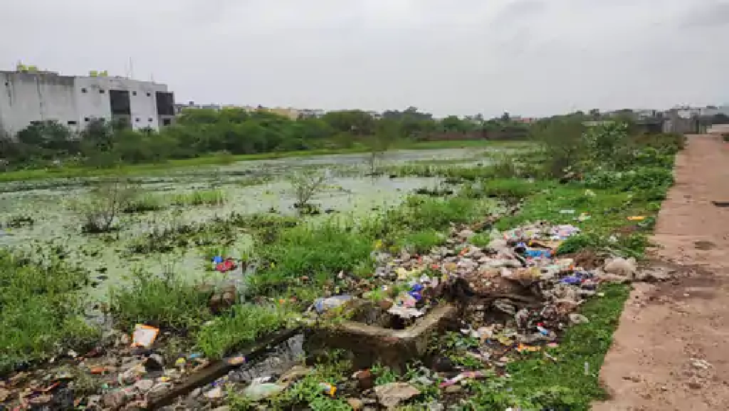 राजनांदगांव : कॉलोनियों में बारिश का पानी जाम, मच्छरों का प्रकोप बढ़ा…