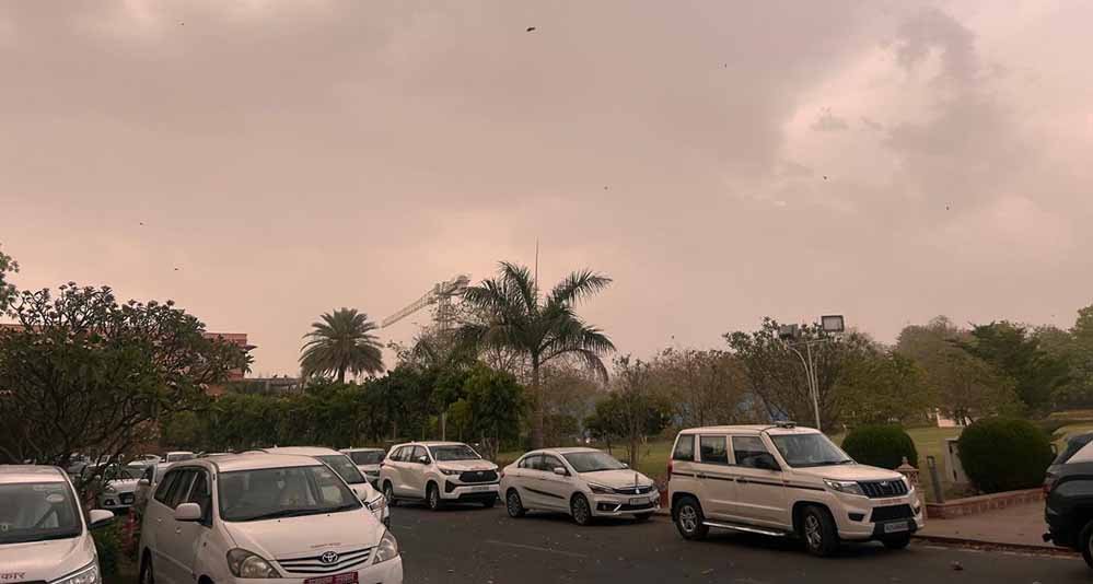 3A_45.jpg