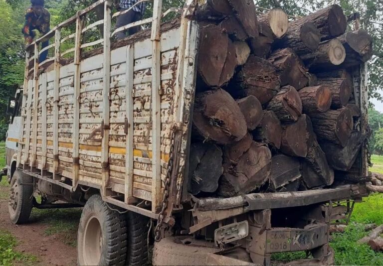 Chhattisgarh_News_02-3-3.jpg