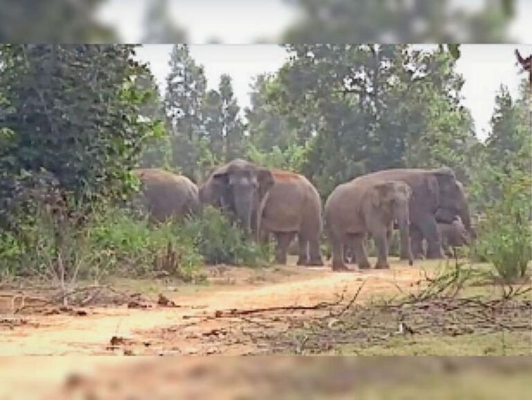 Chhattisgarh_News_05-2-18.jpg