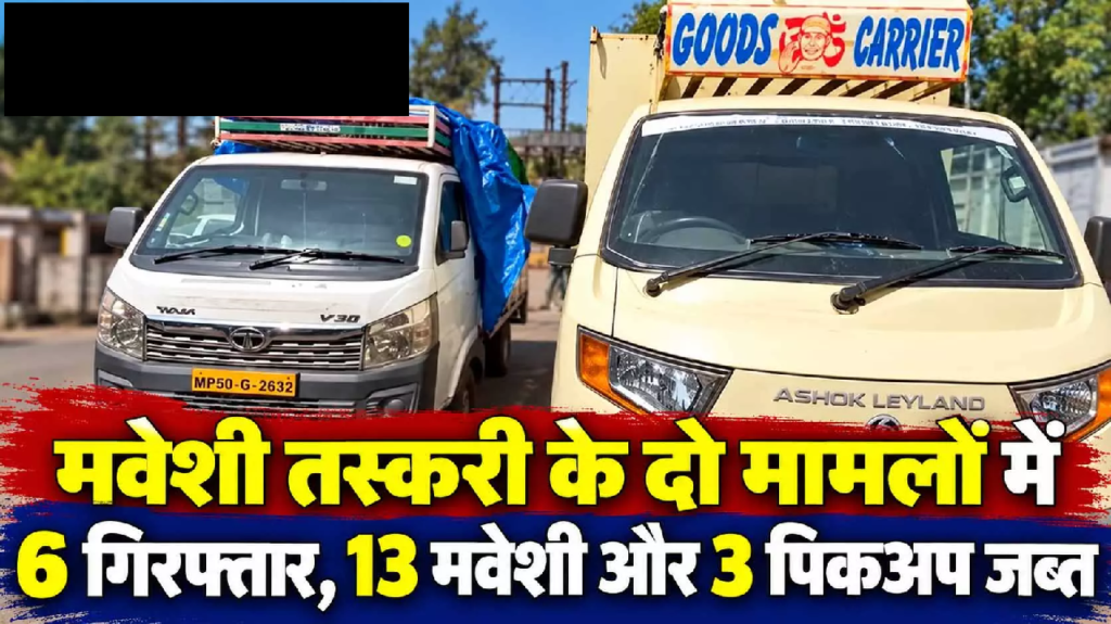 CG : मवेशी तस्करी के दो मामलों में 6 गिरफ्तार, 13 मवेशी और 3 पिकअप जब्त ….
