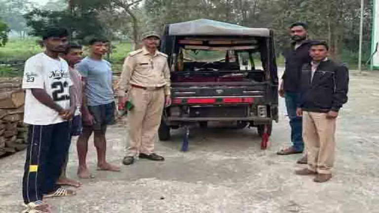 CG : सुकमा में काष्ठ तस्करी पर वन विभाग की कार्रवाई, 48 नग लकड़ी और ऑटो जब्त …