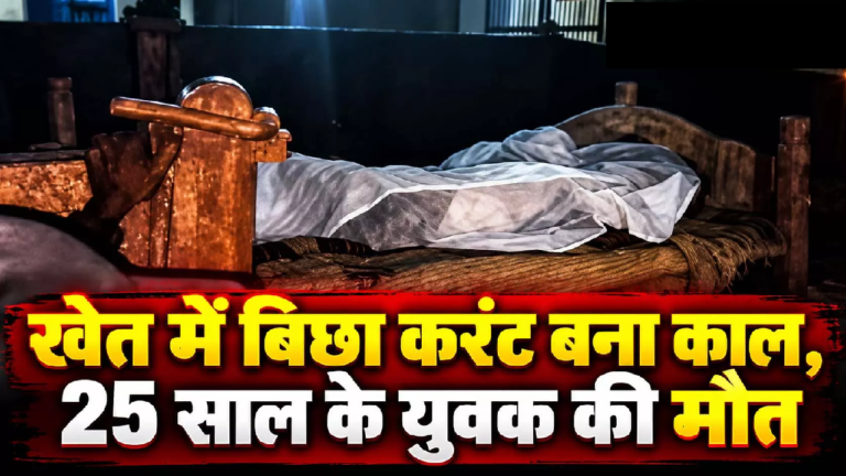 CG : खेत में बिछा करंट बना काल, 25 साल के युवक की मौत …