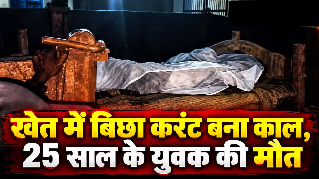 CG : खेत में बिछा करंट बना काल, 25 साल के युवक की मौत …