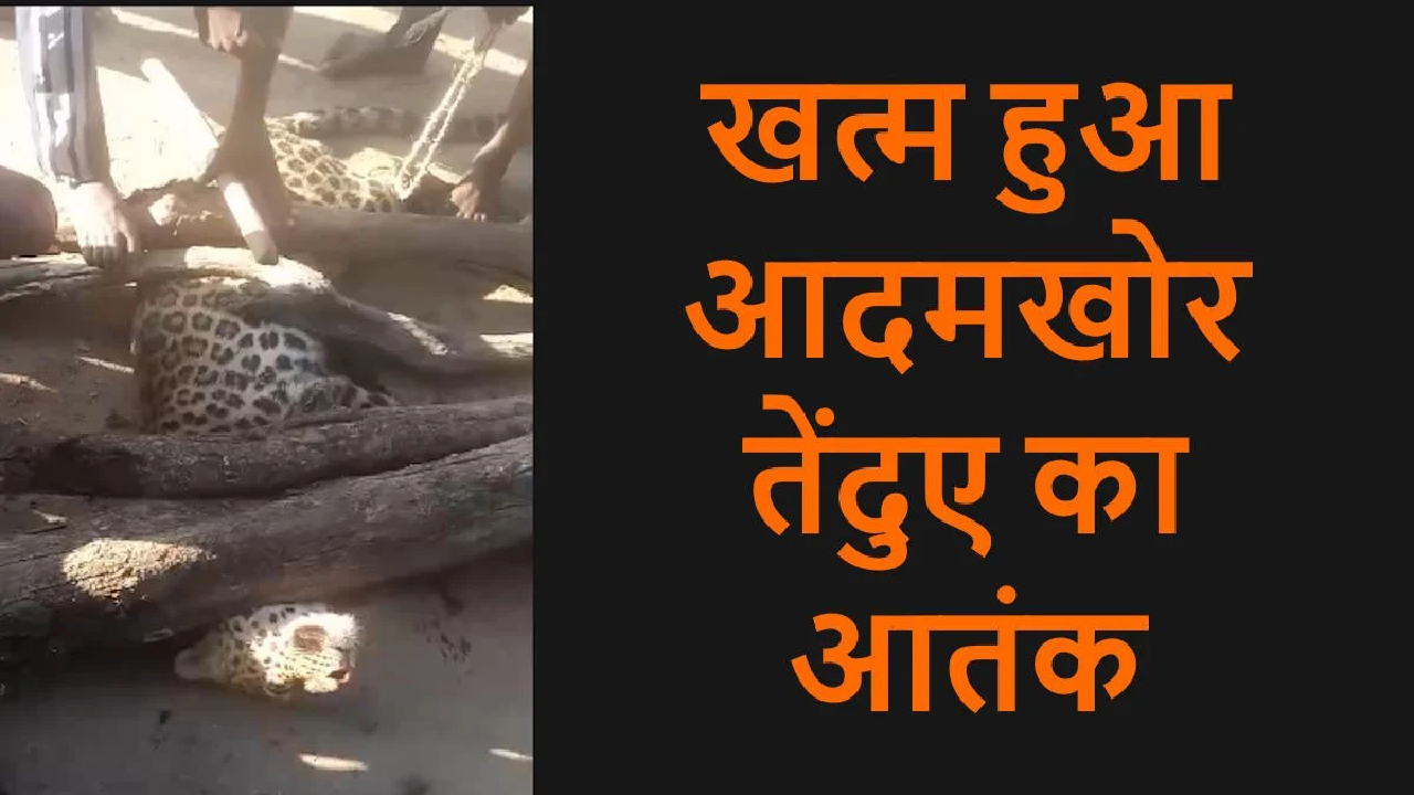 CG : तेंदुए का आतंक खत्म! 2 दिन में 19 ग्रामीणों को किया था घायल, इलाके में मिली राहत …