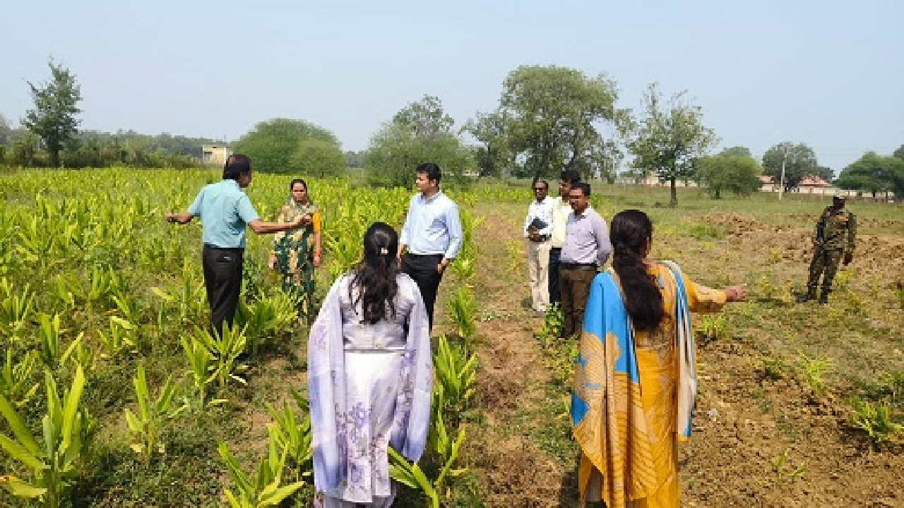 CG : मखाना उत्पादन को बढ़ावा देने निर्माणाधीन डबरियों का सीईओ जिला पंचायत ने किया निरीक्षण …