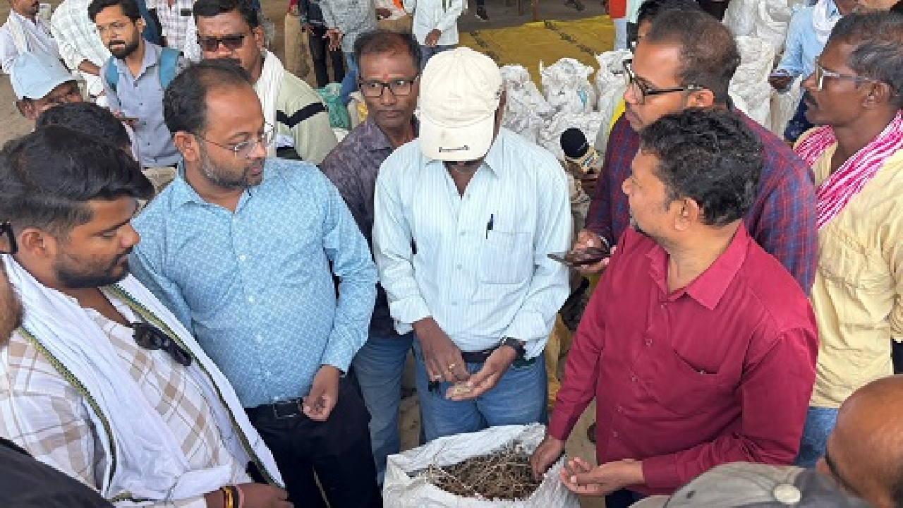 CG : धमतरी की वनोपज मंडी में औषधीय उत्पादों के कारोबार को मिल रहा विस्तार …